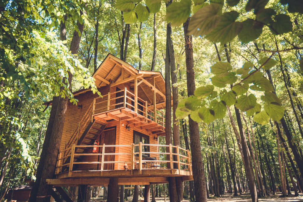 Photo gallery treehouses | Edenland Park | A great adventure